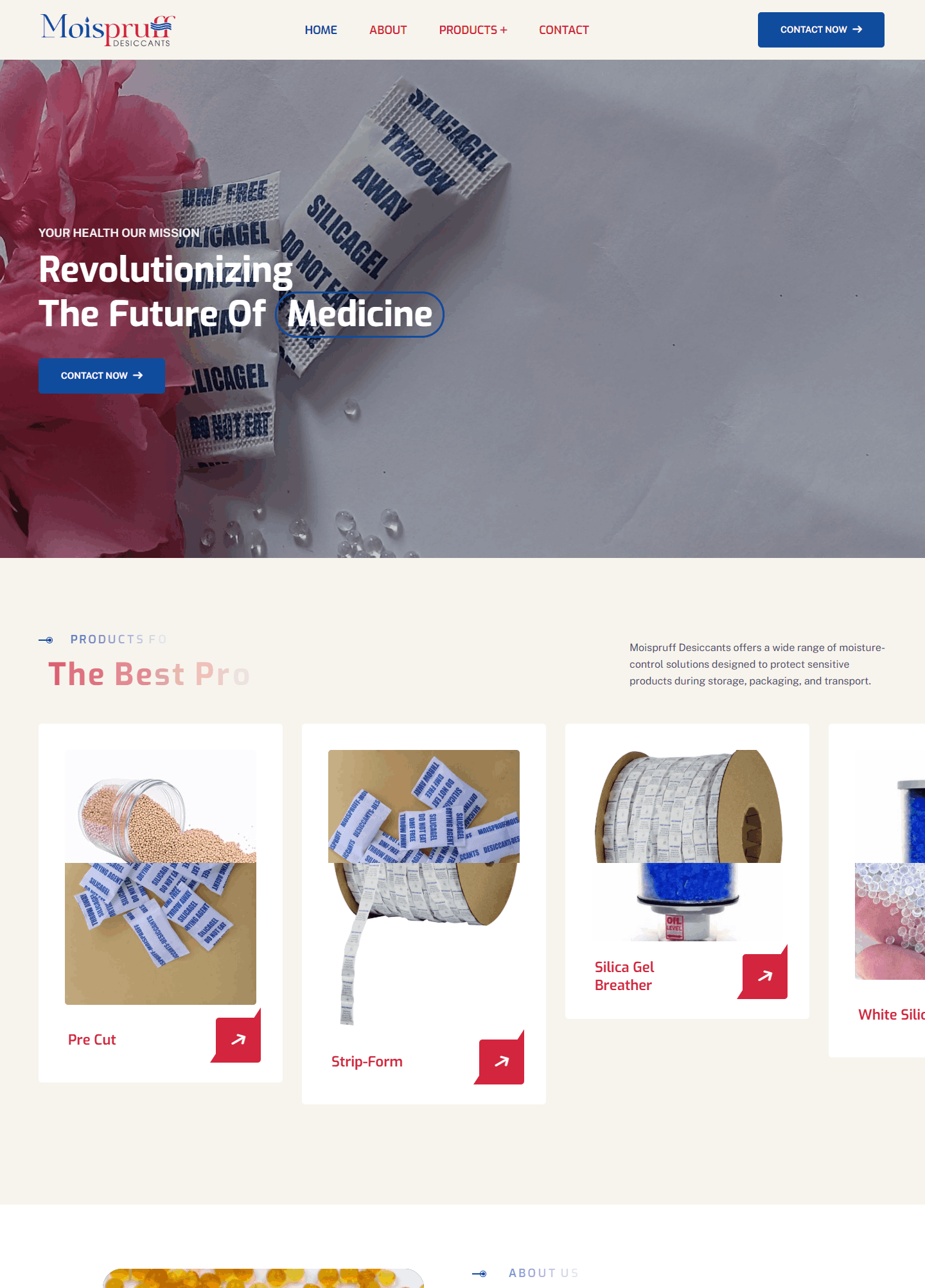 moispruff website work